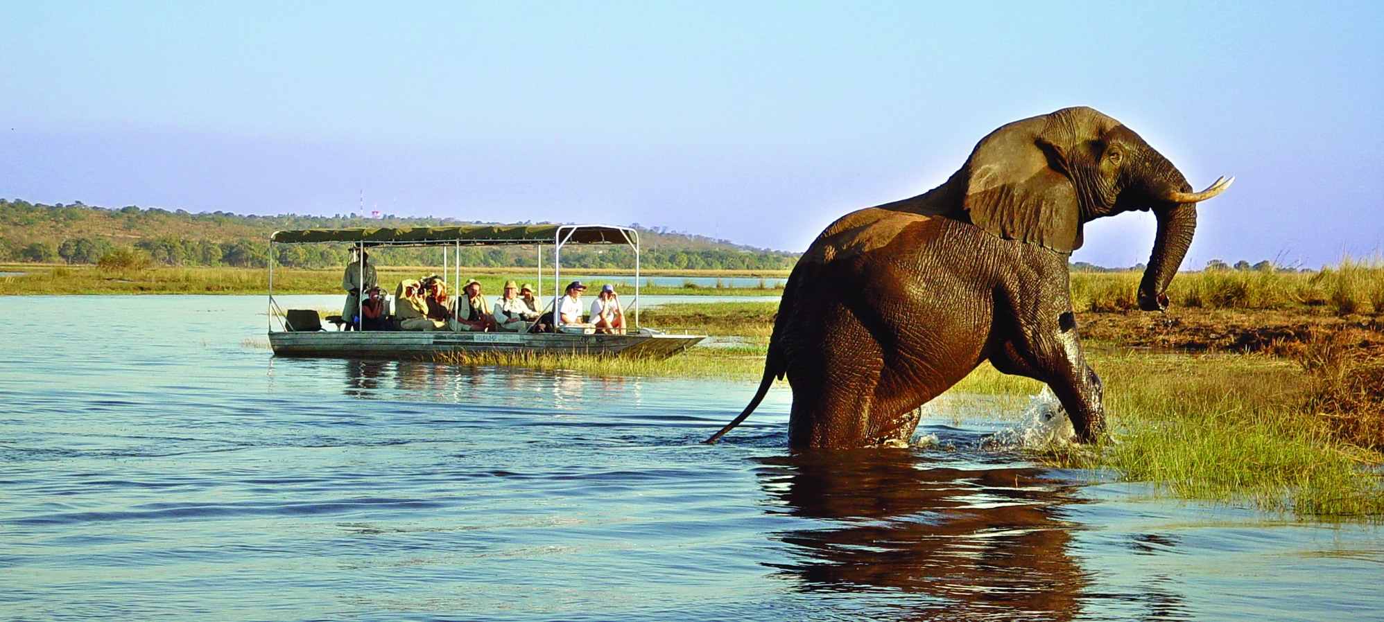 Drive Distance from Victoria falls to Chobe national park